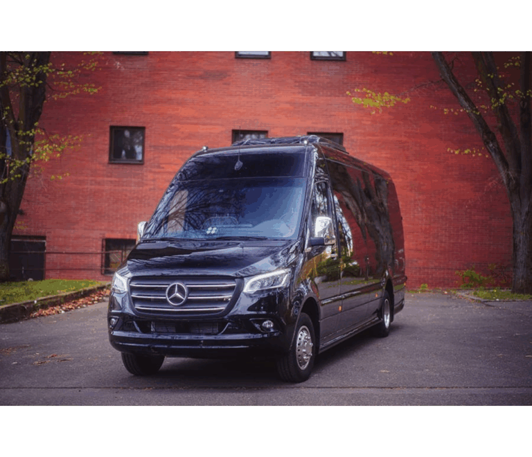 Sprinter 12-18 passenger